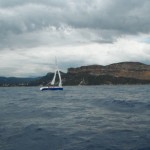 2014 07:07 NEO495 DEFI VINZ#17