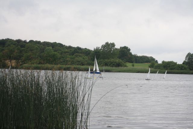 2014 fete du nautique J1 #112